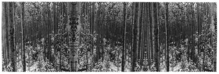 Totems