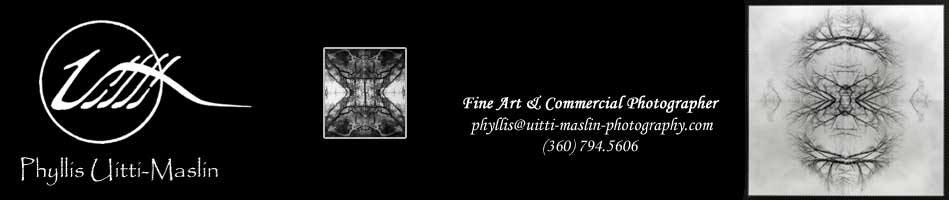 Phyllis Uitti-Maslin ... Fine Art & Commercial Photographer