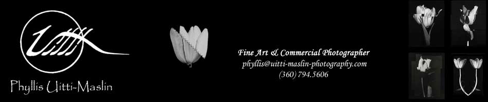 Phyllis Uitti-Maslin ... Fine Art & Commercial Photographer