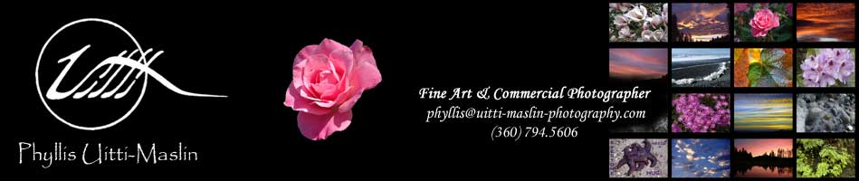 Phyllis Uitti-Maslin ... Fine Art & Commercial Photographer