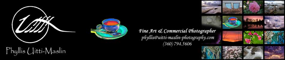 Phyllis Uitti-Maslin ... Fine Art & Commercial Photographer