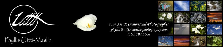 Phyllis Uitti-Maslin ... Fine Art & Commercial Photographer