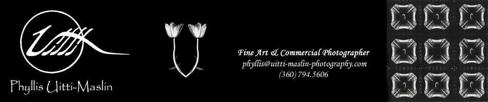 Phyllis Uitti-Maslin ... Fine Art & Commercial Photographer