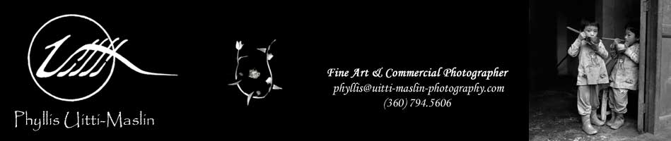 Phyllis Uitti-Maslin ... Fine Art & Commercial Photographer