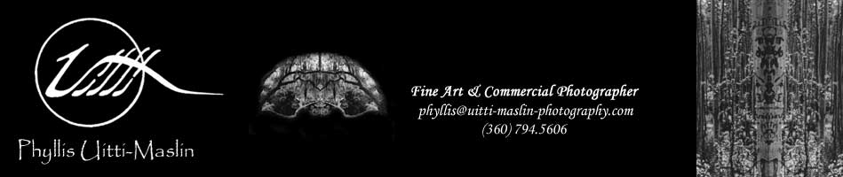 Phyllis Uitti-Maslin ... Fine Art & Commercial Photographer