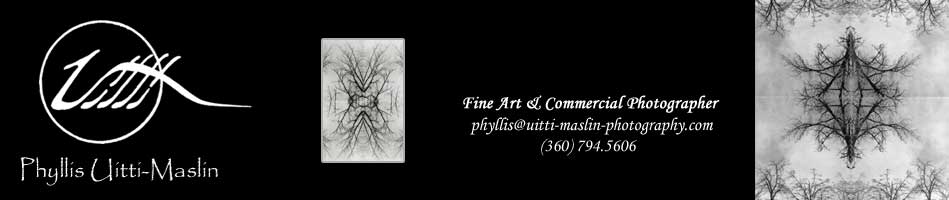 Phyllis Uitti-Maslin ... Fine Art & Commercial Photographer