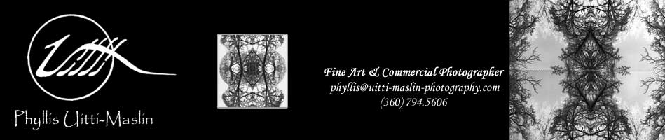 Phyllis Uitti-Maslin ... Fine Art & Commercial Photographer